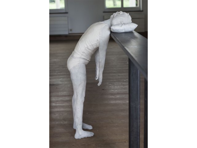 project-large-003